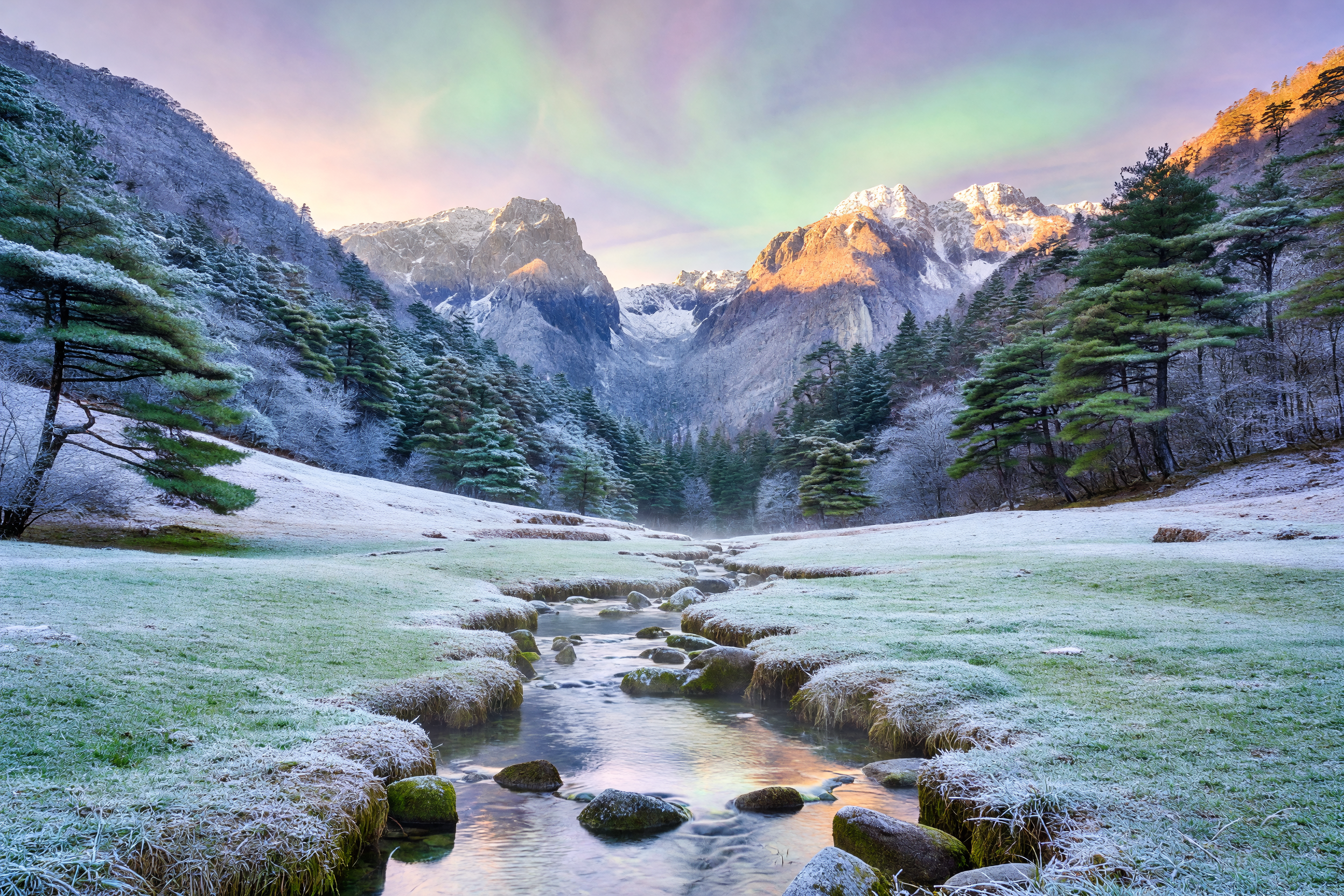 Mountain valley stream near Aurora Frost Meadow